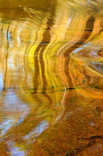 Abstract;Abstraction;Adams Falls;Autumn;Brown;Calm;Cascade;Cascading;Chute;Close-up;Fall;Falls;Flow;Gold;Healing;Line;Minimalism;Nature;Pastoral;Pennsylvania;Pouring;Ricketts Glenn State Park;Shape;Spilling;Stream;Streaming;Tan;Water;Waterfalls;Waterscape;Yellow;modern art;oneness;orange;pattern;peaceful;reflection;reflections;restful;serene;soothing;tranquil;waterfall;zen